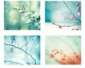 Winter Photography Set, Four 11x14, 8x10 Photographs, blue mint green teal print aqua turquoise red orange berries berry branches snow photo