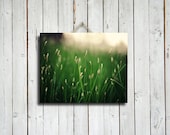 The Grass is Greener - 16x20 canvas print - Green decor - Green photography - Green art - Green decoration