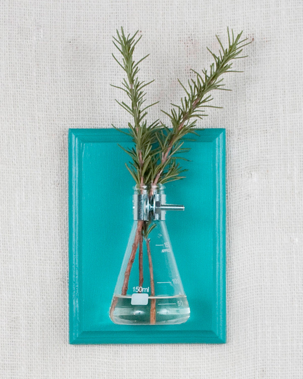 Wall Vase - Turquoise Hanging Vase, Bud Vase - Gift Wrapped - Wall Sconce Vase - Science Chic, Glass Flask, Aqua, Ocean