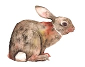 Rabbit Print Illustration Watercolor Woodland Home Decor Brown Forest Handmade