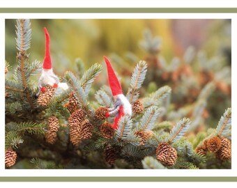 Julenisser Gather Pine Cones (Holiday Photo Card)
