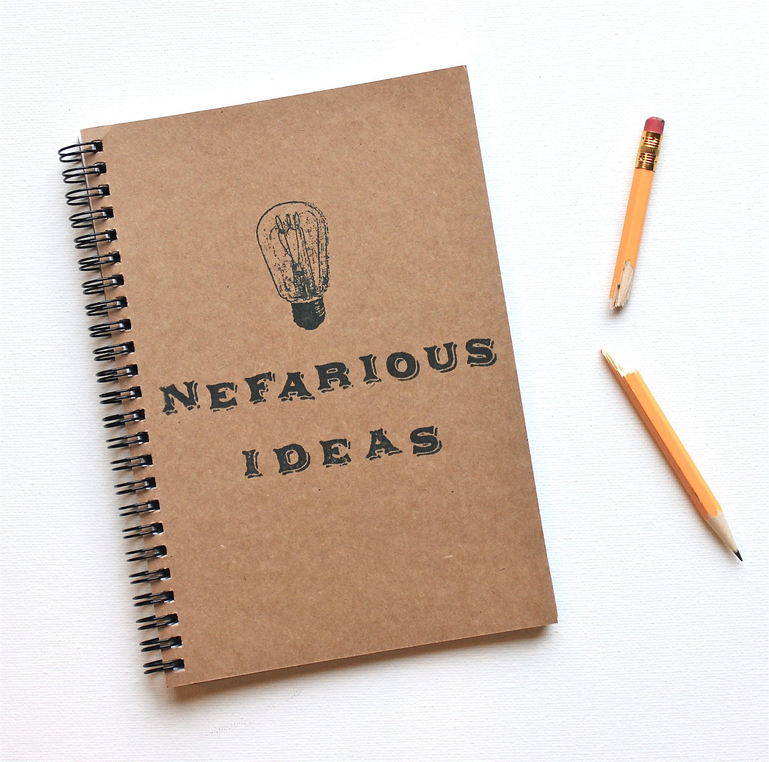 funny notebook Nefarious Ideas journal