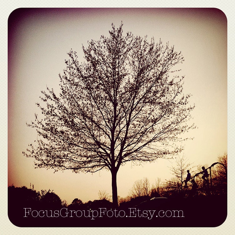 Tree Silhouette Photograph Playground Sunset Golden Pink Sky by Tabora