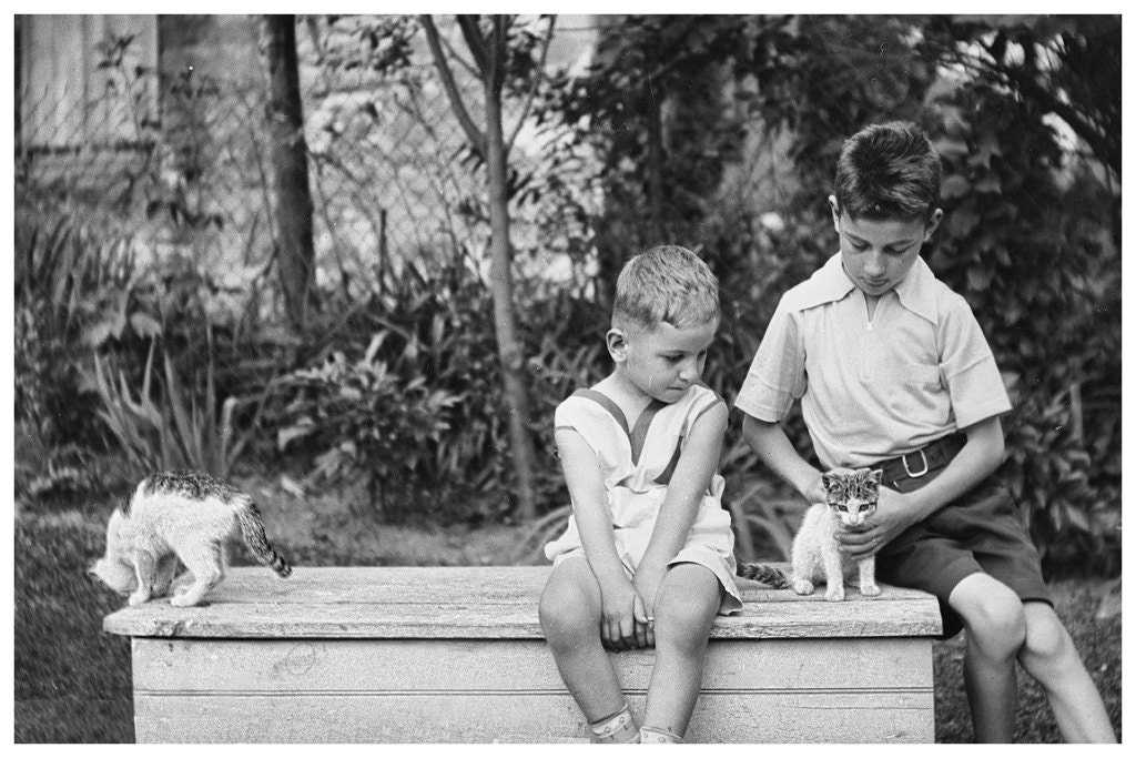 Boys Play with Kittens, Vintage 1920s Photo from Original Negative BW or Colorized