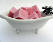 Love Potion Exfoliating Sugar Scrub Cubes 5 oz