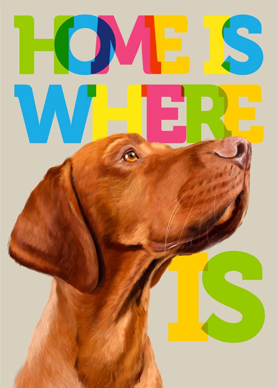 Home is where...hungarian magyar vizsla portrait (poster 8x12) Dog Illustration fine art giclée prints
