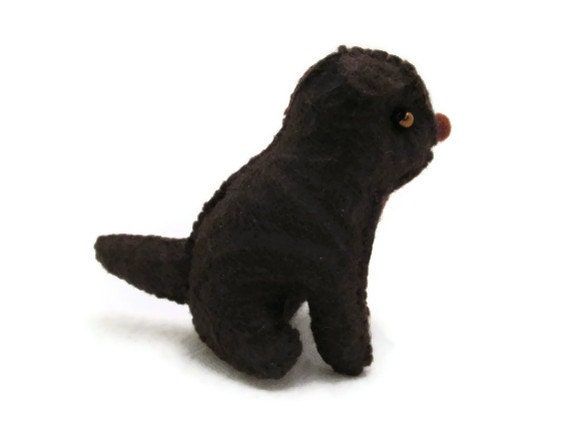 Little Dog Bosco