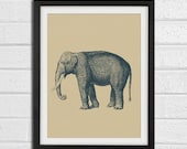 Safari Nursery Wall Art Print - Elephant African Animal - Children Room Home Decor 8x10 Print