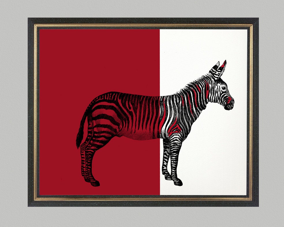 Black, red, white zebra - print on Fine art watercolor paper 8x10 inch.