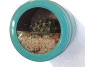 Refrigerator Magnet Cactus Garden