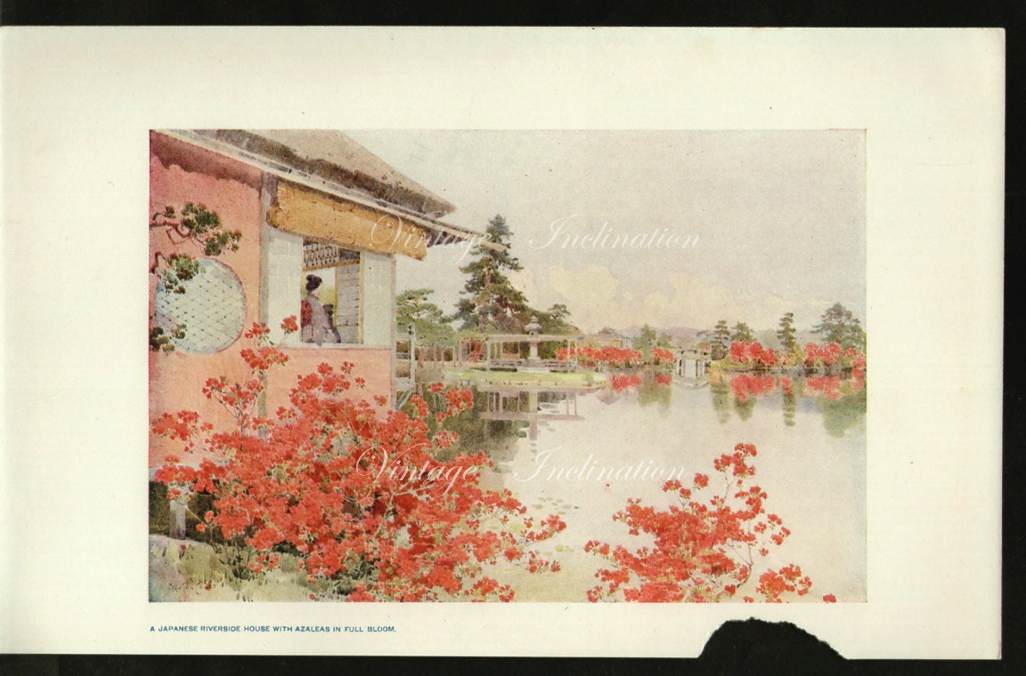 1911, A Japanese Riverside House with Azaleas in Full Bloom, art print, 100 years old Japan, Asian