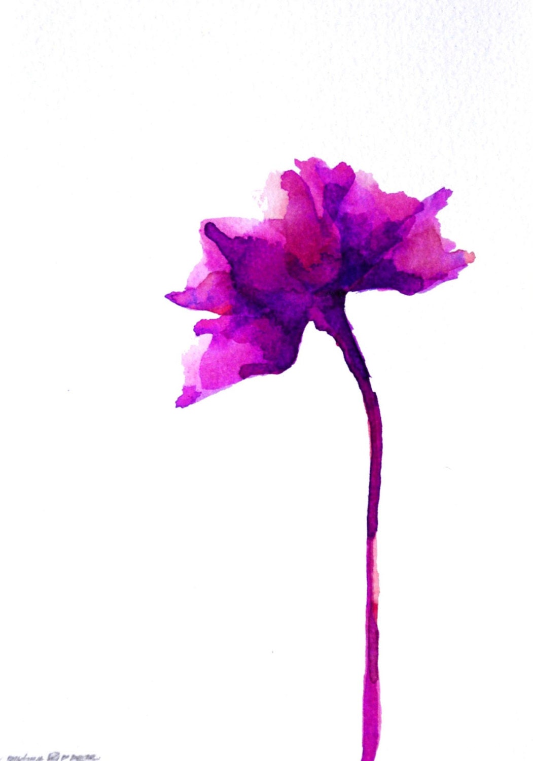 FLOWERS - Drawings with Ink on acid free paper Sennelier/Paris 200gr  by Cristina Ripper. violet / purple / blue - SimpleArtStudio