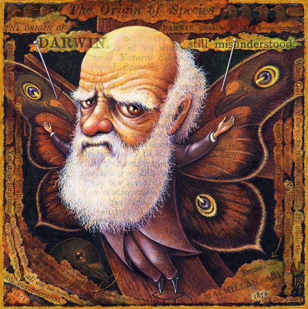 Specimen: Darwin-- signed archival art print of Charles Darwin with butterfly wings, Curious Art