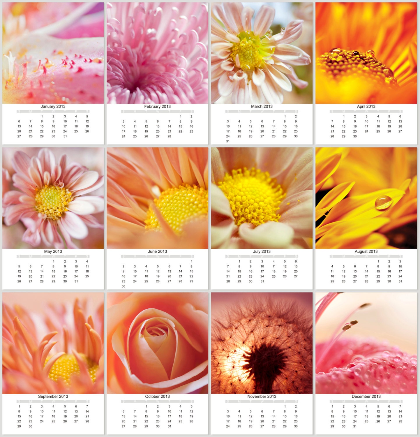 2013 Photo Calendar, Buy 3 get 1 for free, Flowers 2013 Calendar, 5x7 loose leaf calendar, 12 mini prints, desk calendar