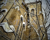 Tree and Tower .. Original Matted 8x10 Photo Art Print .. Ready to Frame 11x14 Mat Size