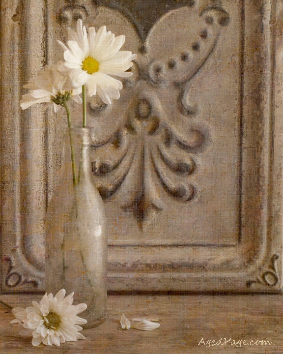 White Flower Fine Art Photography Print, Rustic Cottage, Botanical Home Wall Decor