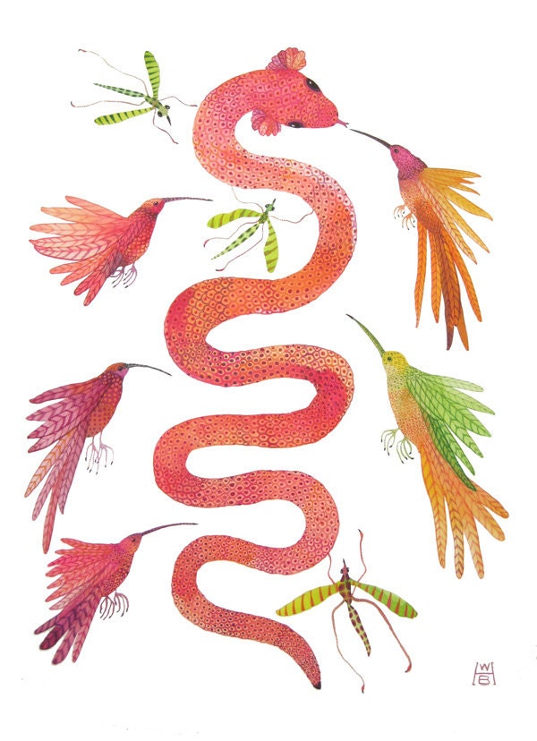 serpent and hummingbirds bird art tropical large original gouache watercolor  painting