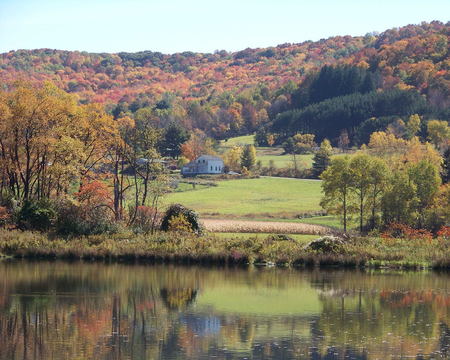 Autumn Reflections 8x10 Signed Fine Art Photography Print- Fall landscape nature scenery photograph- wall art- home decor