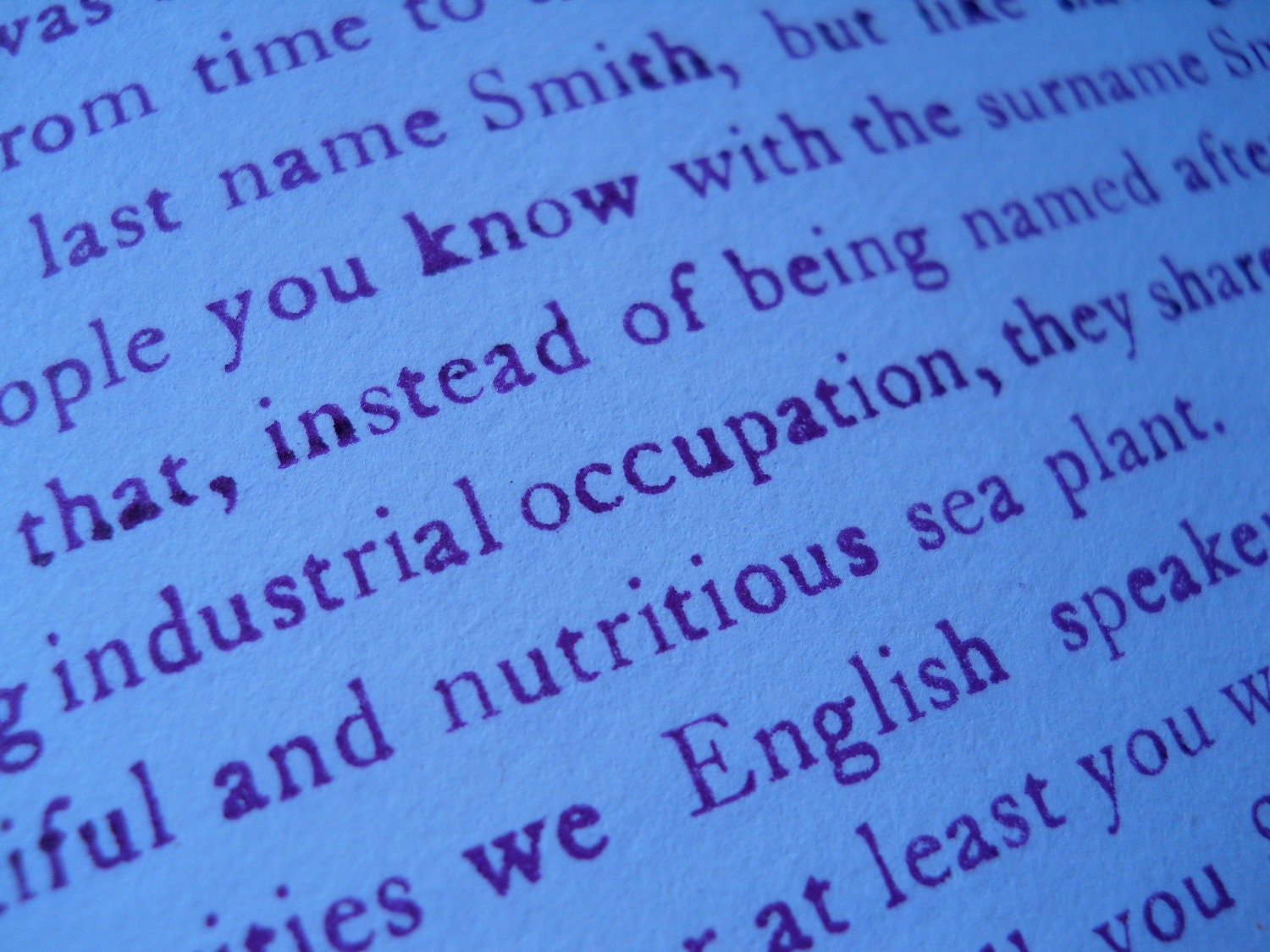 Kerbloom letterpress zine number 40