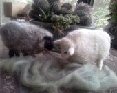Two Natural wool needlefelt sheep