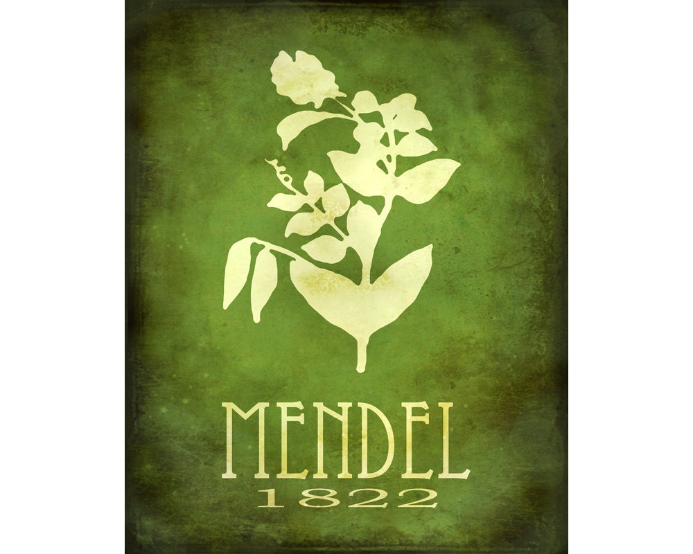 11x14 Science Steampunk Art Print Rock Star Scientist Poster Gregor Mendel Genetics Biology Pea Plant Smart Geek Chic Scientific Nerd Decor