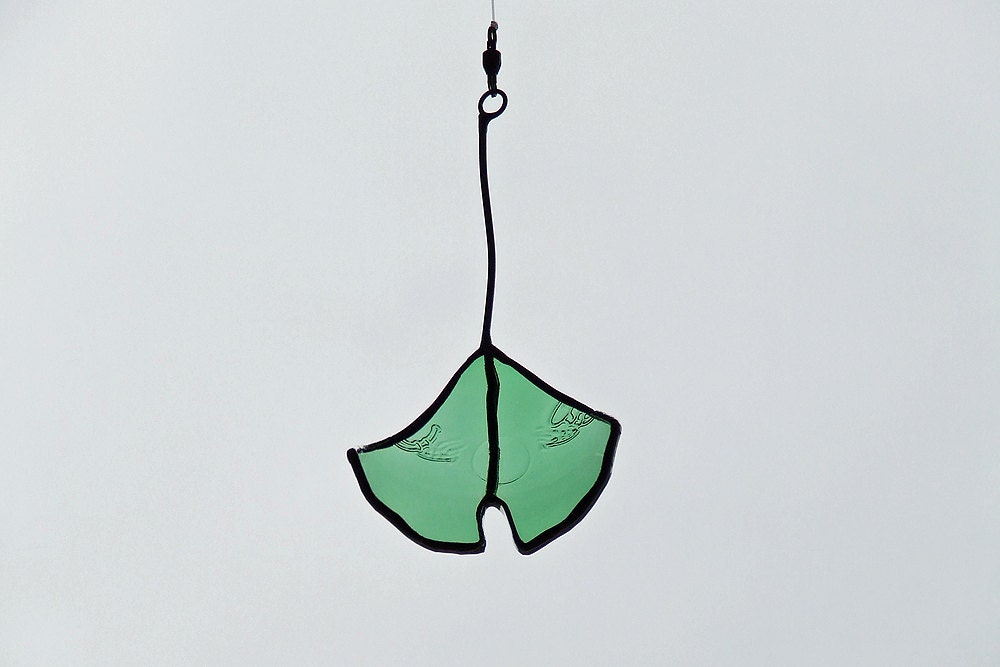 Ginkgo Leaf from Belgian beer bottle