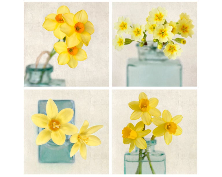 5x5 Yellow Flower Photo Set, Floral Art Prints, Fine Art Photography Prints, Botanical Art, Wall Decor, Flower Photographs, Wall Art