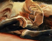 Tiger Tabby Point Oriental Cat Art Print of my watercolor painting