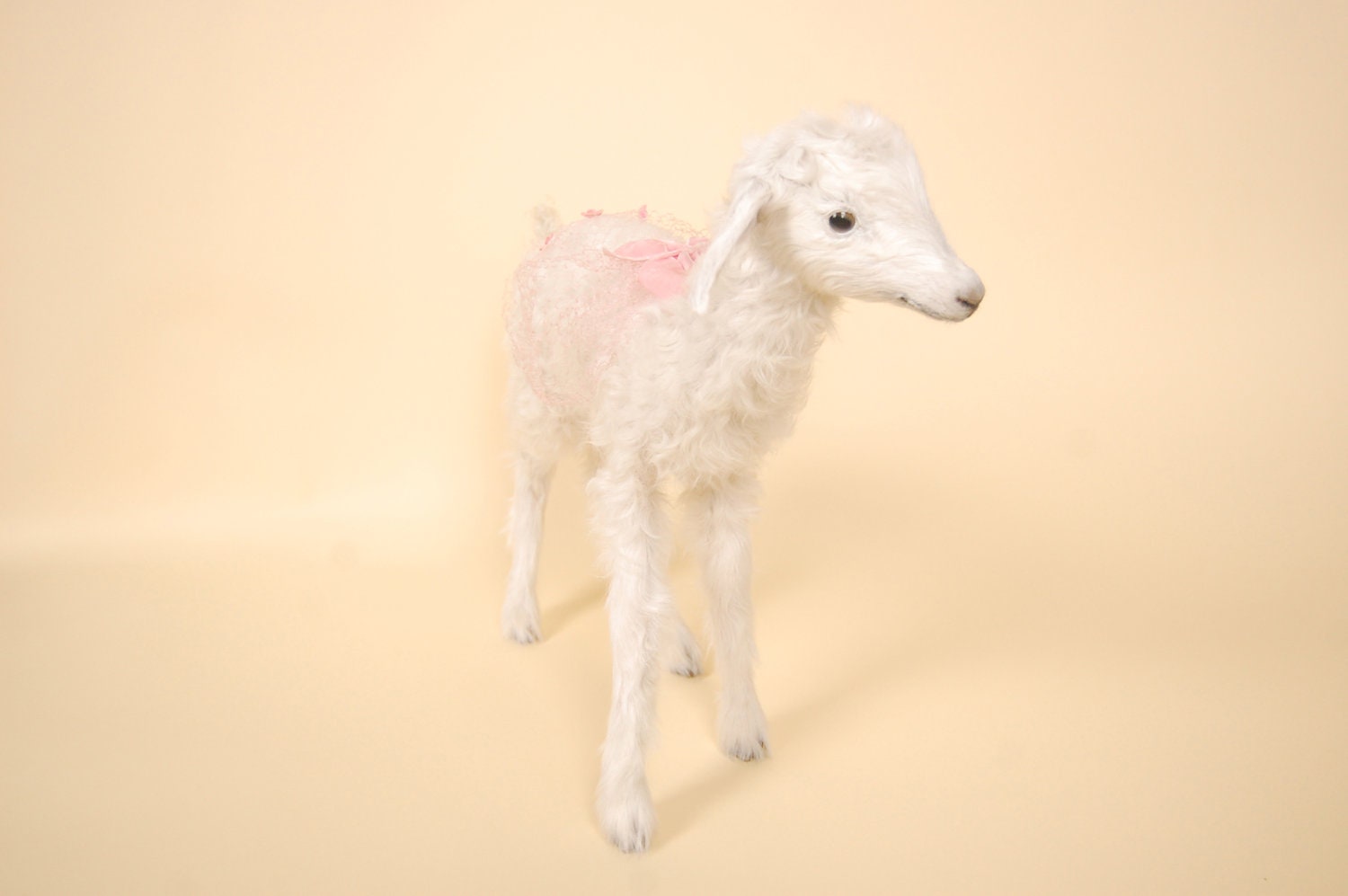 Lambie
