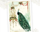 Peacock, Greeting Card, Gold Chandelier, Holly, Red Berries, Mistletoe, Dreaming, Christmas Card