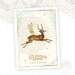 Deer, Christmas Card, Dreaming, Winged Deer, Cream Vintage Lace, White Christmas