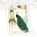 Peacock, Greeting Card, Gold Chandelier, Holly, Red Berries, Mistletoe, Dreaming, Christmas Card