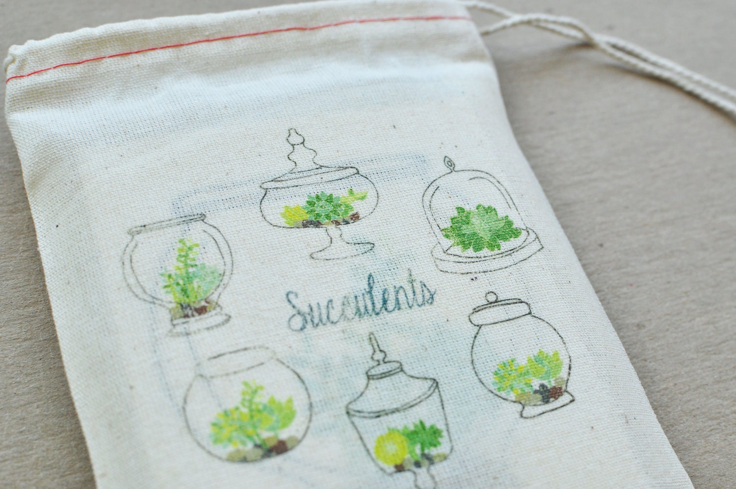 Succulent Terrarium Blank Notecard Set in Reusable Muslin Bag