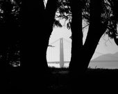 Golden Gate - San Francisco California Landscape Photography Print