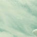 Mint - Landscape Photography Print