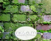 Photography Backdrop 4ft x 3ft, Vinyl Photo backdrop, Antique Brick with Moss, Photo Prop, Floordrop, Mossy Brick, "Mossy Mo"