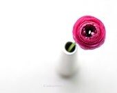 5x7 inches Fine art photograph, Hot pink flower, Floral gift for your beloved, Home decor, Wall art, Nature details - Nursery Wall art - VaidaPhoto