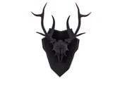 Deer Faux Taxidermy, deer skull, antlers home decor, mounted deer skull, home decor, animal wall hanging, woodland space, mini taxidermy