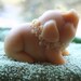 Lavender Goat's Milk Soap, Pig Soap, Lavender Pig Soap, Bacon Bits the Pig Soap, Homemade Soap, Made in Montana Soap