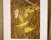 MATTED Nature Art, Milkweed Pods, Meadow, Seeds and Fluff, Grassy Meadow, Woodcut