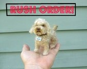 Custom Rush Order Fee for Handmade Animal Sculpture / Custom Pet Portrait / Your Pet in Miniature / Needle Felted Dog /Cat / Cute / poseable