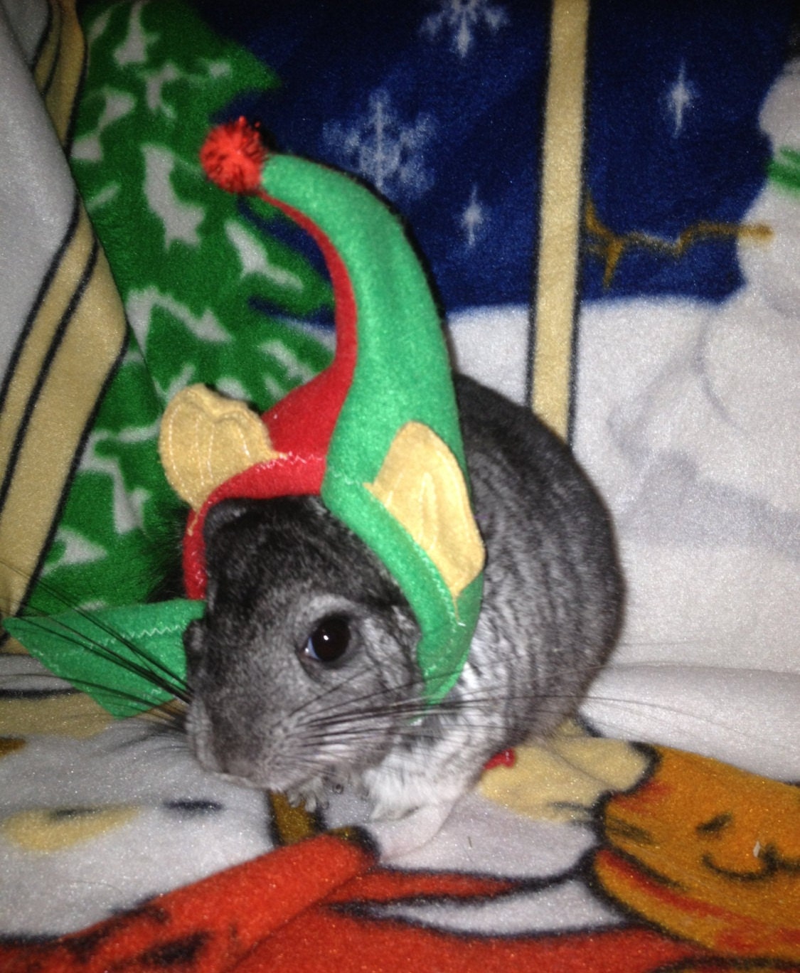 Tiny Elf Hat for Guinea Pigs, Chinchillas, Rats and Ferrets XXSmall
