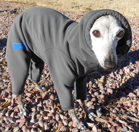 Italian Greyhound Rain and Snow Suit-custom made several colors