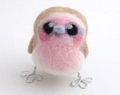 Pink Robin Baby Bird
