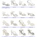 Wedding Shoes styles