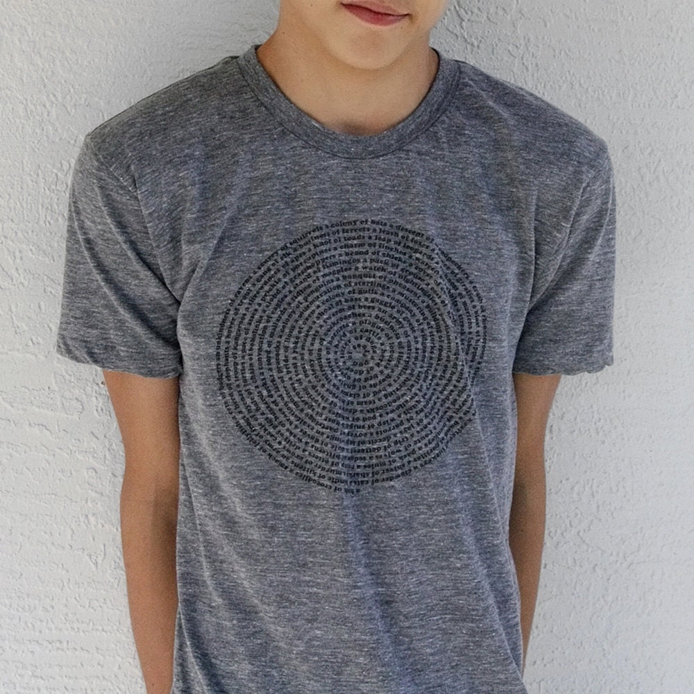 Mens t shirt Small or 2XL - animal shirt, for him - typography screenprint on American Apparel heather grey tshirt  Animal Collective Nouns