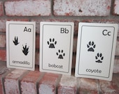 Animal Tracks ABC Flash cards