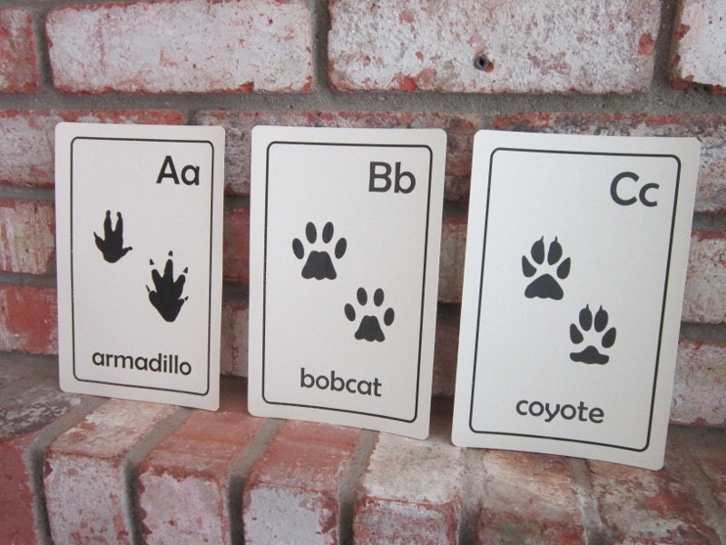 Animal Tracks ABC Flash cards