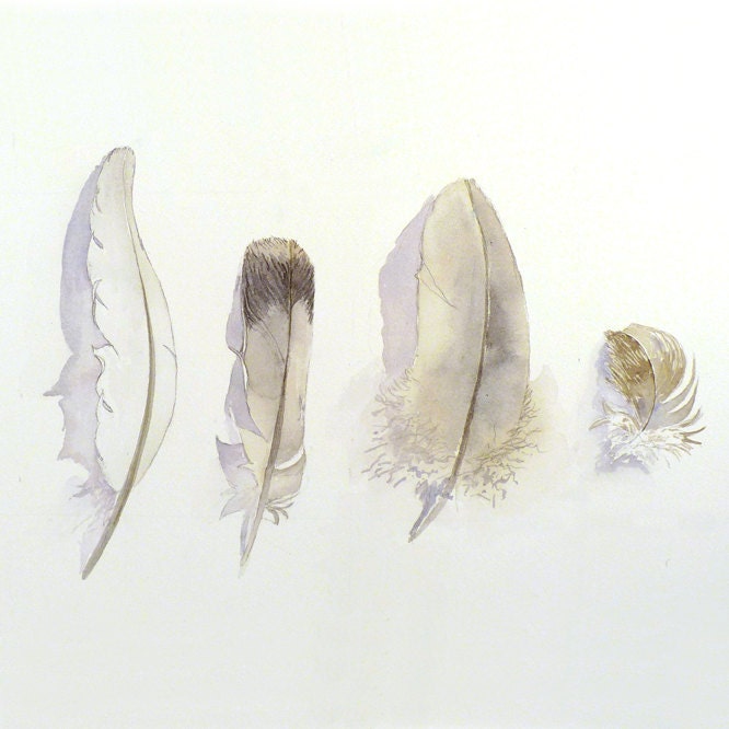 Art Painting Original Watercolor Bird Feathers Women Men Nature Woodlands Neutral Colors Nature White Grey Dorm 9.6 x 12.6 Under 70 USD