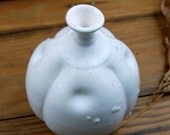 White Warty Bottle